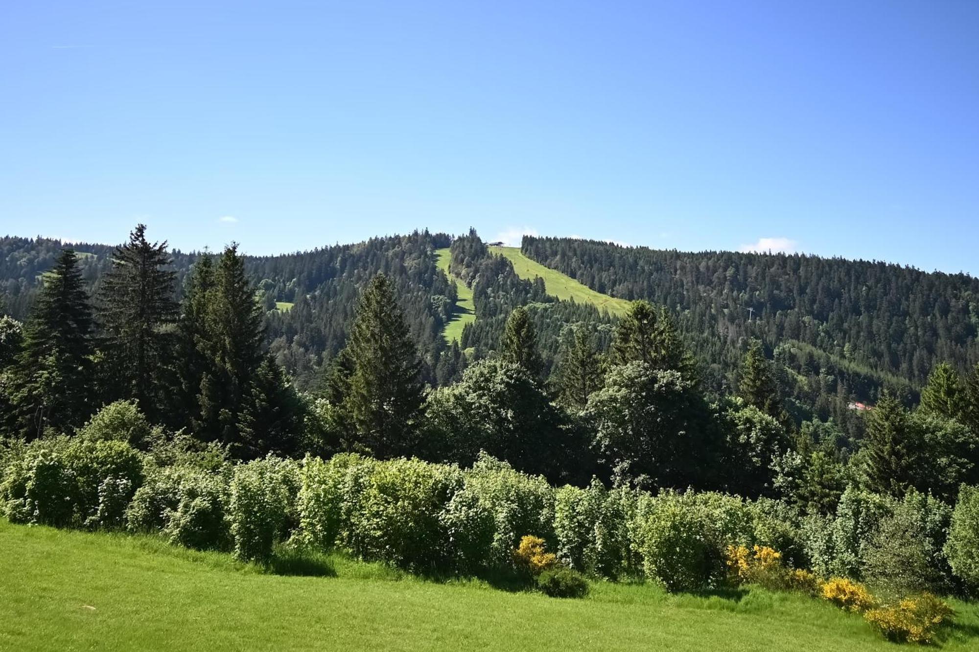 Ferienwohnung Le Nid Des Vosges - Appt Vue Montagne Gérardmer Exterior foto